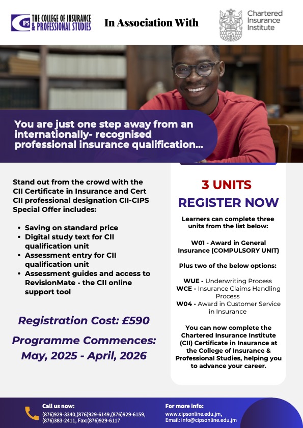 CII Flyer 2025 Final (1)